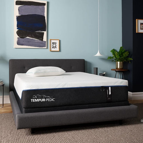 Tempur-Pedic 12" ProAdapt Soft